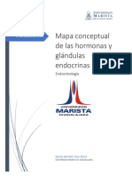 Mapa Conceptual de Hormoas y Glandulas