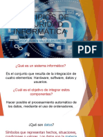 Principios de Seguridad Informatica