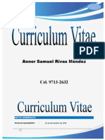 Curriculum Vitae Ana Paola