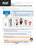Actividades sobre etapas del desarrollo humano | PDF | Adultos | Vejez