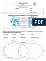 Group Act. Cell Venn Diagram