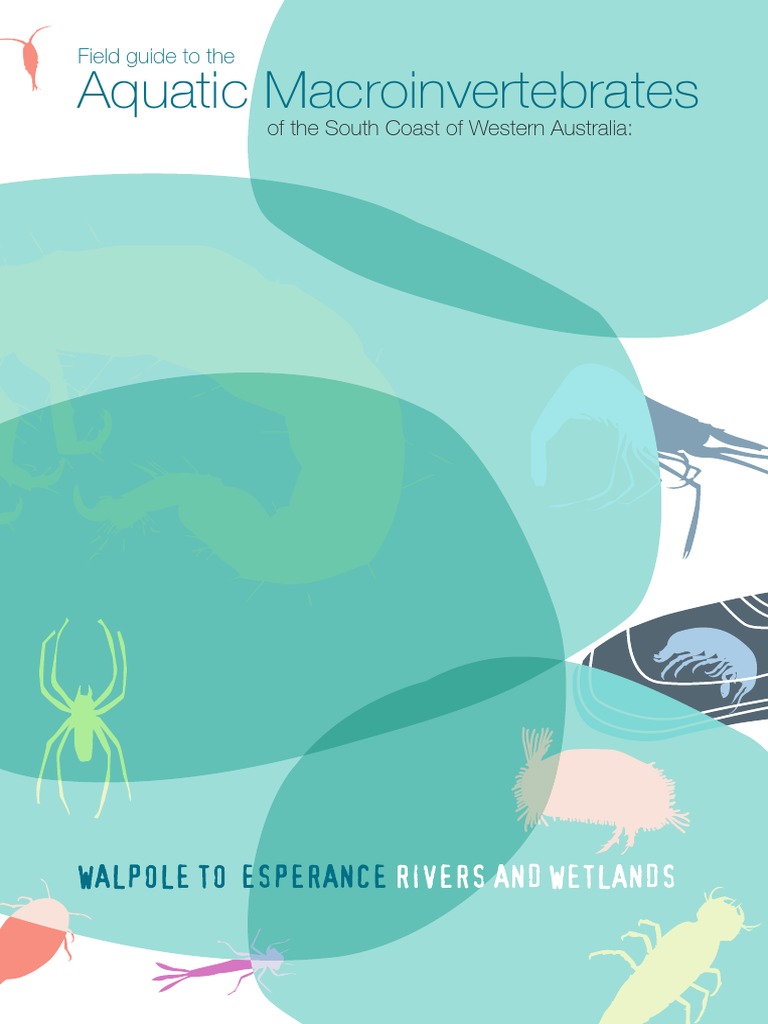 Field Guide To Macroinvertebrates | PDF