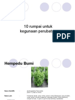 Download 10 Herba Untuk Kesihatan by yuzamri  SN6459024 doc pdf