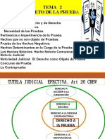 Teoria General de La Prueba I 2023. Unidad I Tema 2