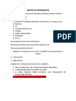 Instrucciones Proyecto Integrador