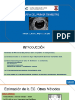 Ecografia de I Trimestre