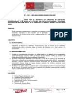 DIRECTIVA COMPLEMENTARIA GEREDU