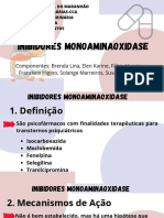 Universidade Estadual Do Maranhão