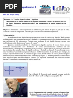 FQE1_EXP5_TensaoSuperficialGota