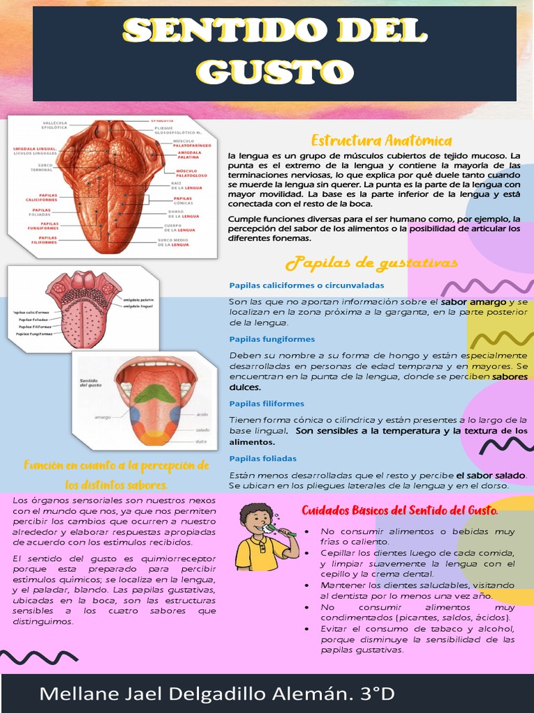 Sentido Del Gusto Pdf