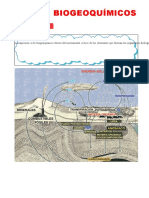 Ciclos Biogeoquímicos