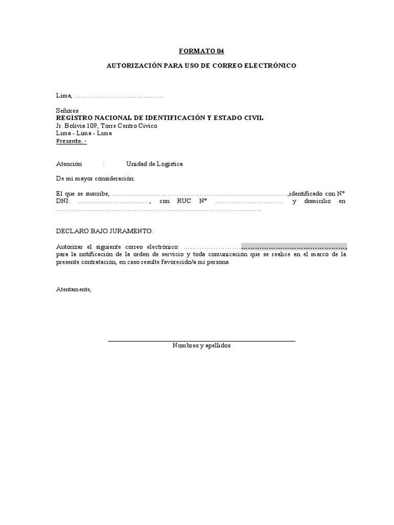 FORMATO 04 - Autorización para Uso de Correo Electrónico | PDF