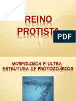 protozoarios