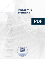 Anatomiahumana - Parte 1