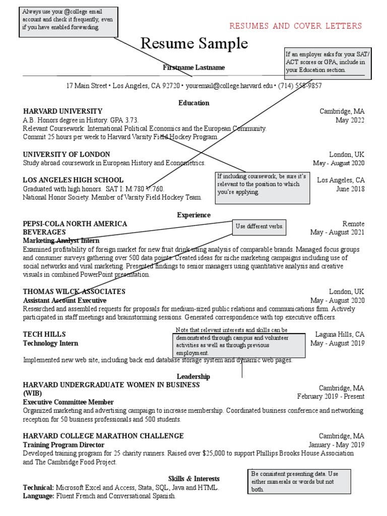 Template Harvard CV Dan CL PDF
