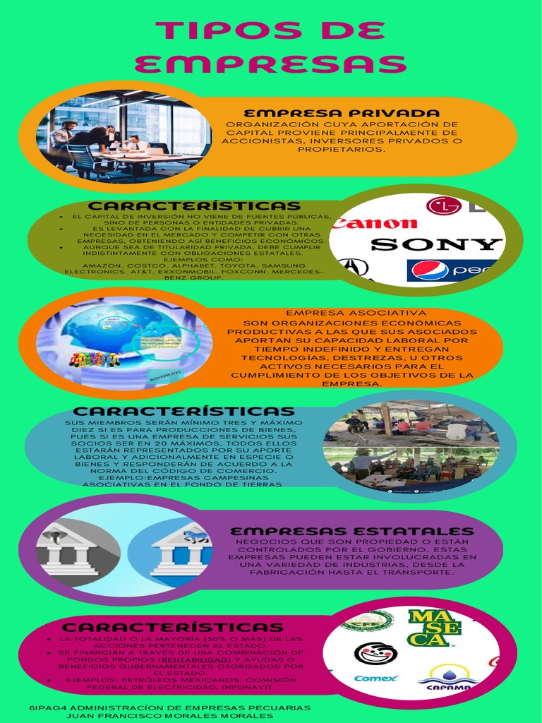 Tipos De Empresas PDF