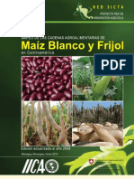 Actual Mapeo Maiz-Frijol CentroAmerica