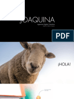 Brochure 2021 _ Joaquina - Agencia de Publicidad _ E-Commerce _ Consultoría _ México _ Argentina 
