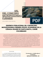 DINAMICA POBLACIONAL DEL CONCORO MICROPOGONIAS FURNIERI - Bosque Fiel