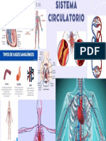 Presentacion Cuerpo Humano Organico Ilustrado Morado Pastel