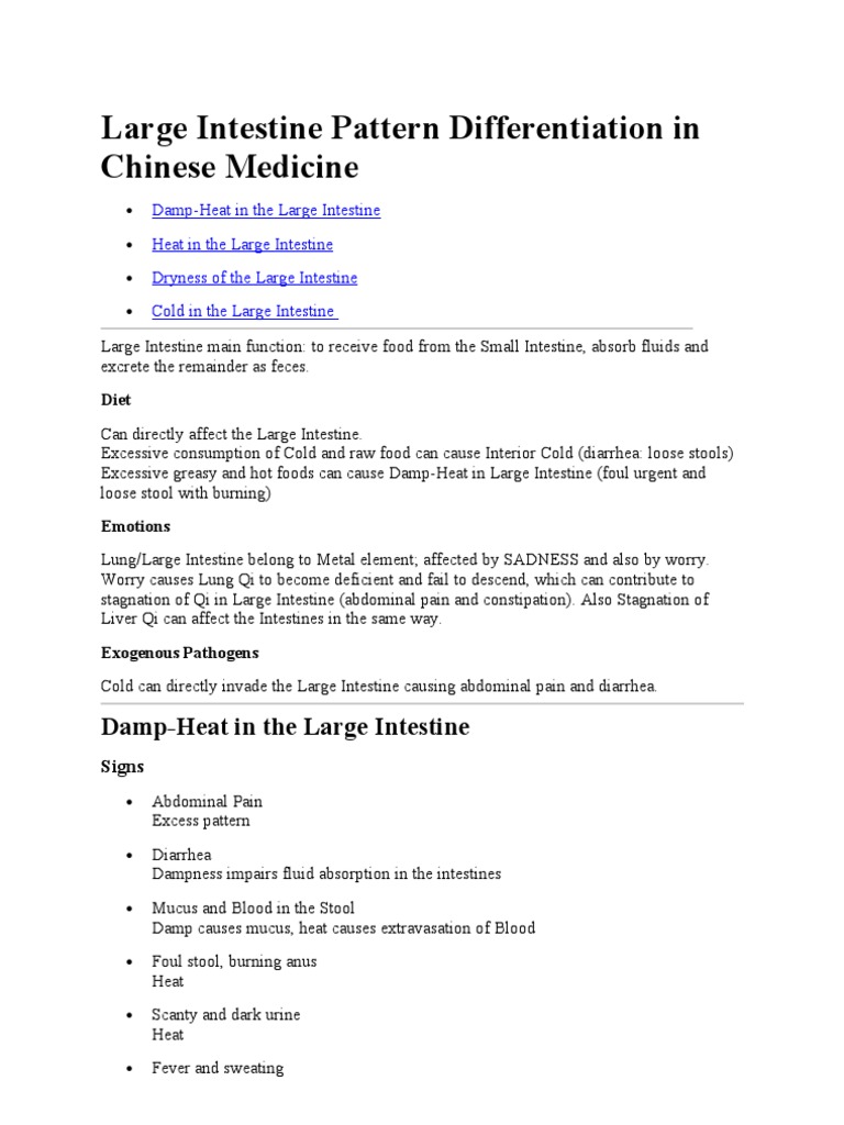 Large Intestine Patterns in Chinese Medicine | PDF | Human Feces ...