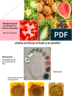Formación fruto y semilla, polinización y dispersión