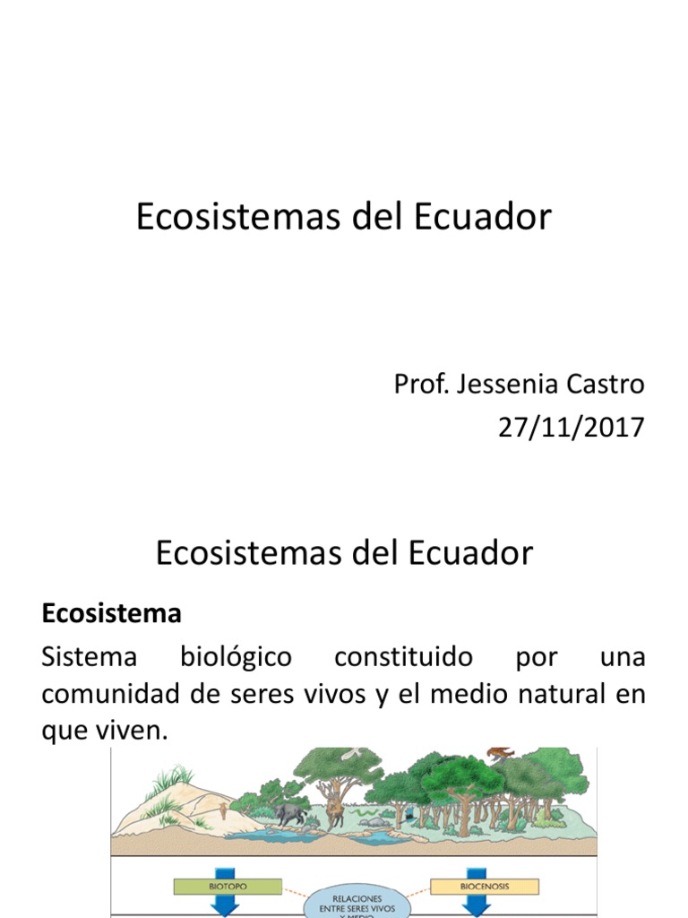Ecosistemas Del Ecuador PDF