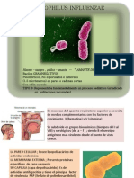 Exposición Microbiología y Parasitología