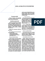 11. Sistemul Excretor -Curs 11