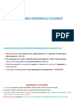 Curs 4- Organizarea Genomului Eucariot