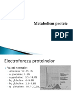 metabolism proteic