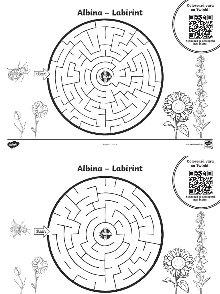 Albina - Labirint | PDF