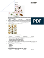 Soal OSN Biologi