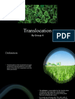Translocation - Group 4
