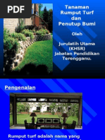 Download Rumput Turf by Mat Jang SN6460549 doc pdf