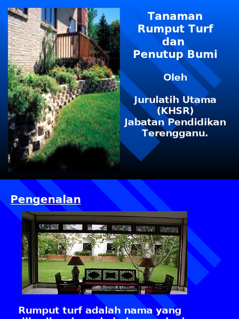 Rumput Turf | PDF