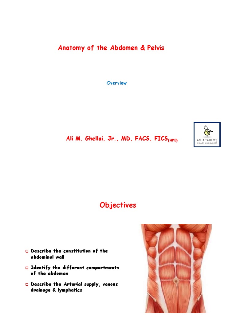 Abdomen visual data 2