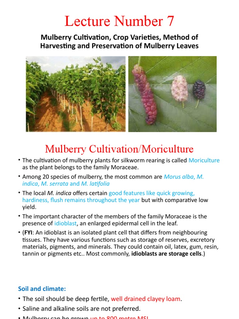 Lecture Mulberry Cultivation, Crop Varieties, Method of Harvesting and