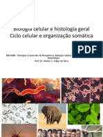 Citologia e Histologia Geral - Ciclo Celular e Organização Somática