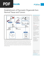 3D Bioprinting Technology Compendium | PDF | Tissue Engineering