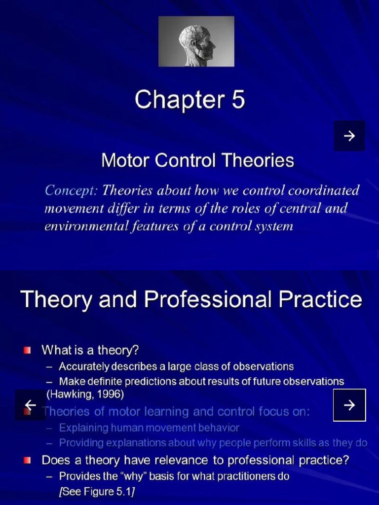GROUP 11 “MOTOR CONTROL THEORIES AND HYPOTHESIS” PDF