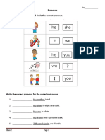 Pronouns, Punctuation, Plurals and More Grammar Practice