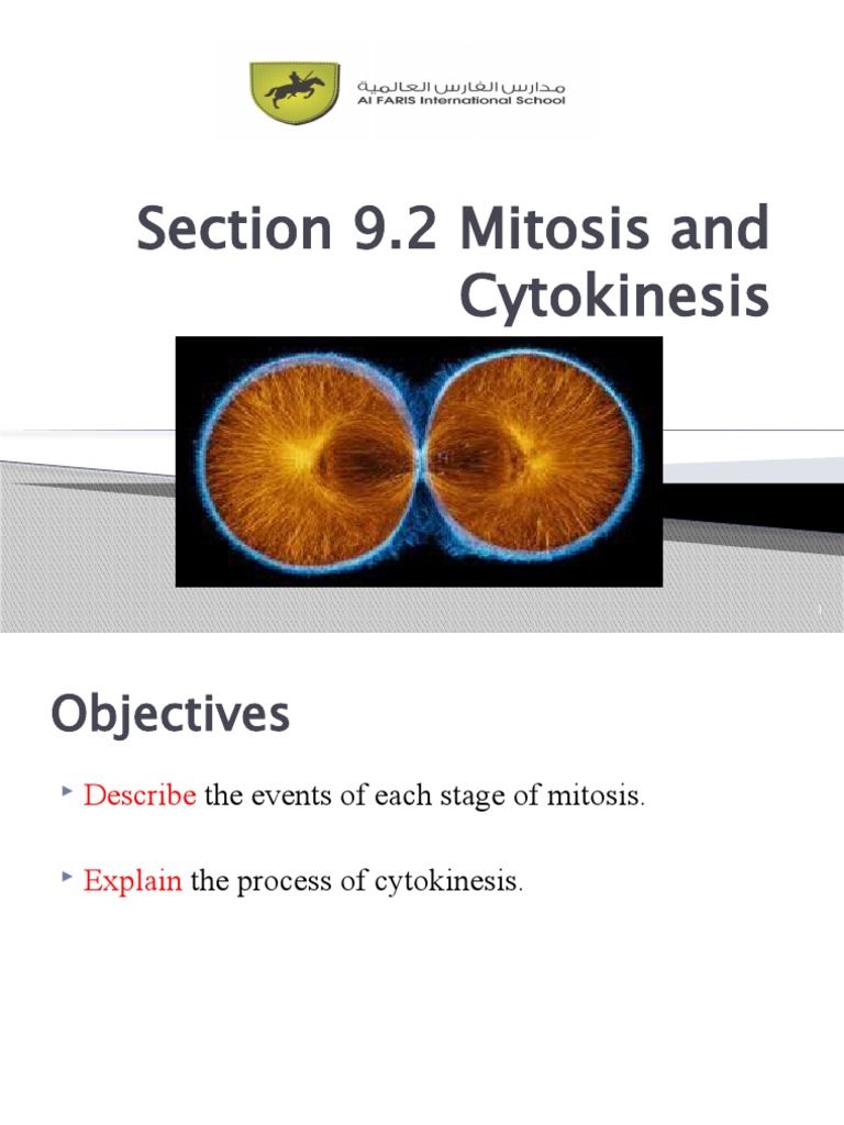 Biology Cycle 3 Section 9.2 Mitosis and Cytokinesis | PDF | Mitosis ...