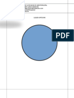 BACOM 3G LILIES OPTIONS FEASIBILITY STUDY Autosaved