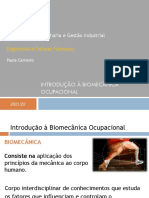 Introdução À Biomecânica Ocupacional: Mestrado em Engenharia e Gestão Industrial