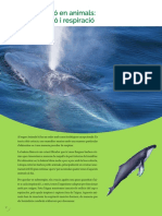 Tema 8 Nutrició en Animals-Digestió I Respiració