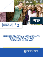 Interpretación y mecanismos de protección de los DDHH