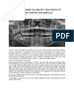 How Nature Inspires Tougher Glass: Bio-Mimicry of Teeth and Shells