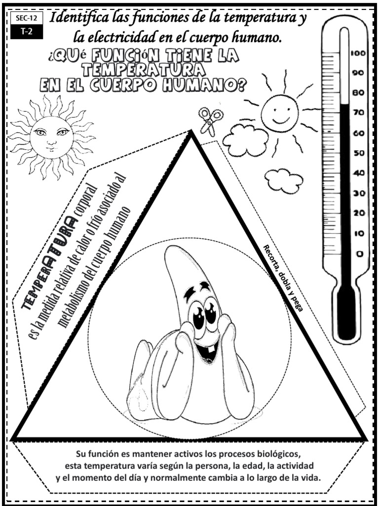 15 Sec 12 Temperatura Corporal PDF