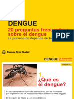 Dengue 20 Preguntas